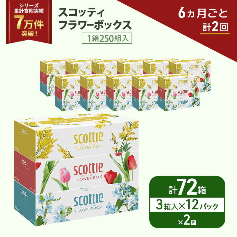 【ふるさと納税】 定期便 ティッシュ 3箱×12P (6ヶ月ごと計2回) スコッティ フラワーボックス 日本製 長持ち 日用品 生活用品 必需品 消耗品 便利 楽 コンパクト 防災 備蓄 備え 安心 送料無料 累計寄附実績7万9千件超 宮城県 岩沼市