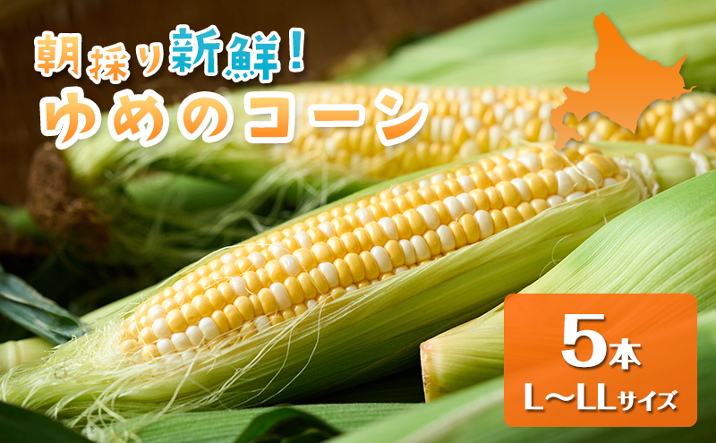 【2027年夏出荷】富良野産 とうもろこし ゆめのコーン 5本 L～LLサイズ 野菜 新鮮 直送 コーン とうきび 道産 北海道 幕田農園