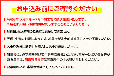 数量限定 日南市産 完熟マンゴー 5L 1玉 化粧箱入り フルーツ 果物 国産 特大 令和6年発送分 食品 デザート 送料無料_C107-23