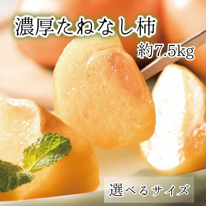 【ふるさと納税】【選べるサイズ】【和歌山ブランド】 濃厚たねなし柿　秀品 約7.5kg入り Mサイズ / L～4Lサイズ ※2025年10月上旬～11月上旬頃次発送予定 / 種なし 種無し タネなし 柿 フルーツ 果物 人気 旬 カキ タネ無しカキ くだもの