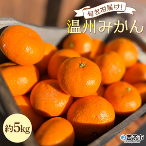 ＜旬をお届け！温州みかん 約5kg＞ 数量限定 ミカン 蜜柑 果物 柑橘類 果実 オレンジ フルーツ 早生 20号 手軽 特産品 国産 明浜産 二ノ宮商事株式会社 愛媛県 西予市【常温】『2025年11月上旬～12月中旬迄に順次出荷予定』ANS0018