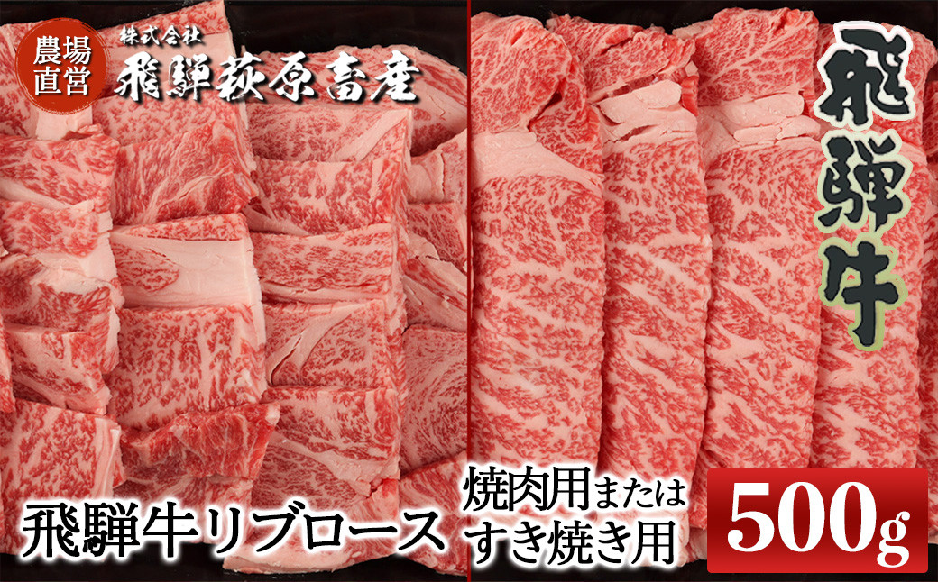 
            【年内順次発送】飛騨牛リブロース  500g（焼肉用または、すき焼き用）選べる 国産 牛肉 ブランド牛 ギフト 贈答【冷凍】年内配送 年内発送 年内に届く 年内お届け
          