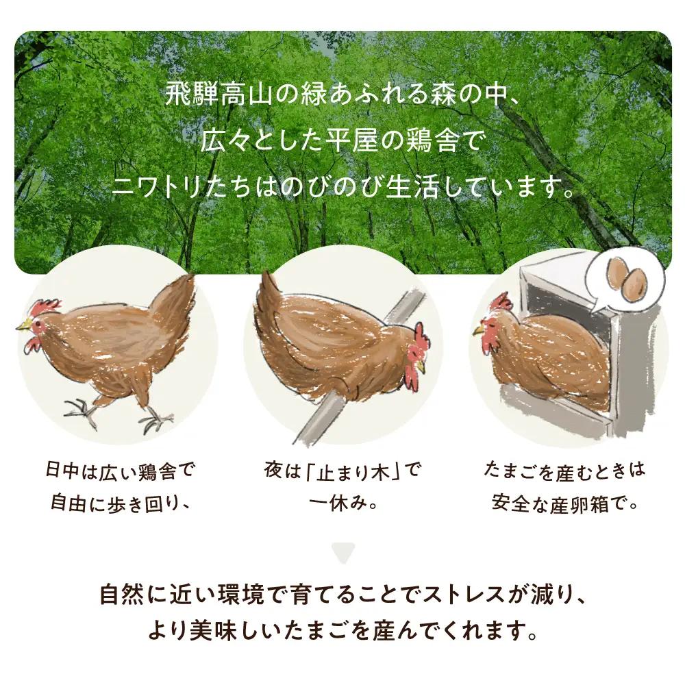 森のたまご農園 平飼い卵 24個 たまご 飛騨高山  LW005