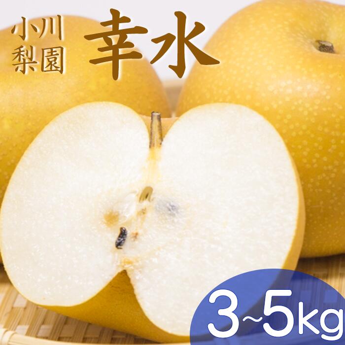 【ふるさと納税】期間限定 幸水 3kg 5kg 小川梨園 申込受付中 なし ナシ 和梨 8月発送 千葉県 千葉なし 梨幸水 幸水梨 先行予約 フルーツ先行予約 2025年梨先行予約
