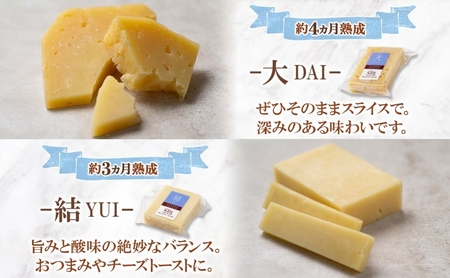 北海道チーズ詰合せ5種 チーズ ハードタイプ 大 セミハード 結 ラクレット 真 白カビタイプ 天 熟モッツァレラ ころ 生乳 ミルク 熟成 濃厚 あしょろチーズ工房 送料無料