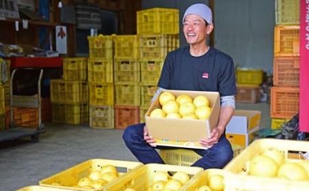 羽賀農園 河内晩柑9kg（家庭用）【高知県宿毛市小筑紫町田ノ浦産】 柑橘 柑橘