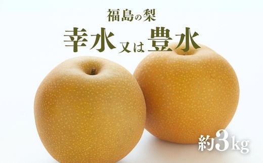
            No.2042ふくしまの梨　約３kg（幸水または豊水）【2025年発送　先行予約】
          