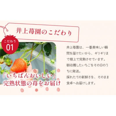 井上苺園　あまおとめ(270g×2パック)【V002540】【配送不可地域：離島・北海道・沖縄県】【1660699】