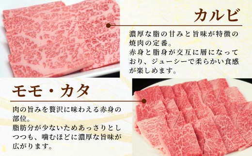 【12月発送】 飛騨牛 A4~A5等級 飛騨牛 BBQセット 計400g (カルビ+もも・カタ焼肉用) 岐阜県産 A4 A5 焼肉 詰め合わせ 黒毛和牛 カルビ もも かた 赤身 牛肉 牛 国産 お取