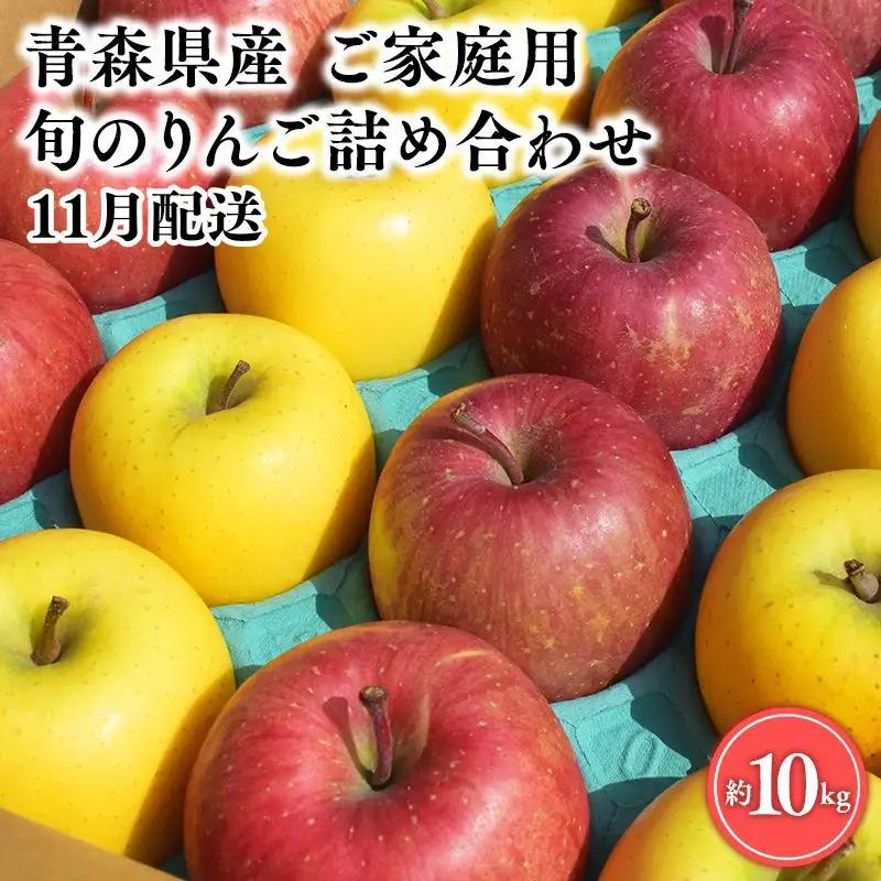 りんご 家庭用 旬の詰め合わせ10㎏ 【hi-0054-006-11】