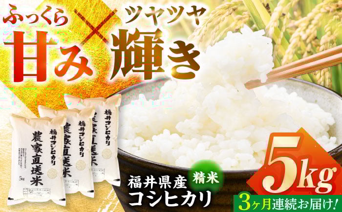 
            【定期便3回】【令和7年産】 福井県産こしひかり 精米 5kg 小浜市 / シマダ農園 [BFAV010]
          