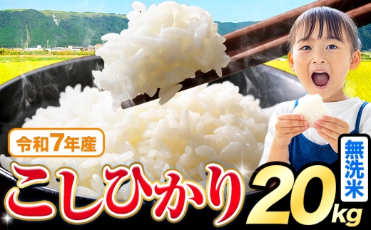 令和7年産  無洗米 こしひかり 20kg5kg×4袋 《7-14日以内に出荷予定(土日祝を除く)》熊本県産 ふるさと納税 無洗米 精米 ひの 米 こめ ふるさとのうぜい コシヒカリ コメ お米 おこめ