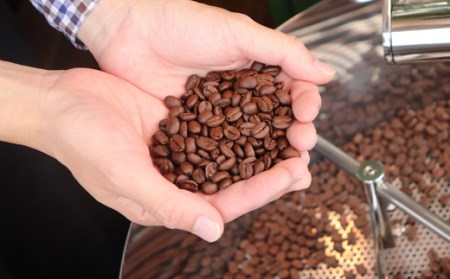 【自家焙煎】カフェ・フランドル厳選コーヒー3種セット（100g×3・豆）