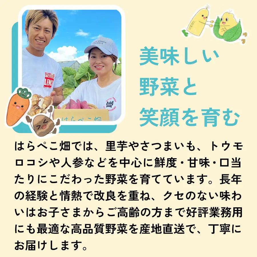  人参『キャロりん』（1.8kg×1箱）・H105