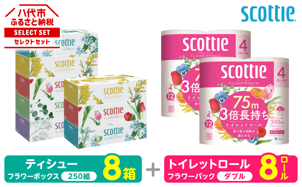【スコッティ】 組み合わせ ティシュー フラワーボックス 250組 8箱 トイレットロール ダブル フラワーパック 3倍長持ち 8ロール ティッシュ トイレットペーパー 日用品 防災備蓄 ストック 備蓄 新生活 防災 消耗品 生活用品 日用消耗品 箱ティッシュ