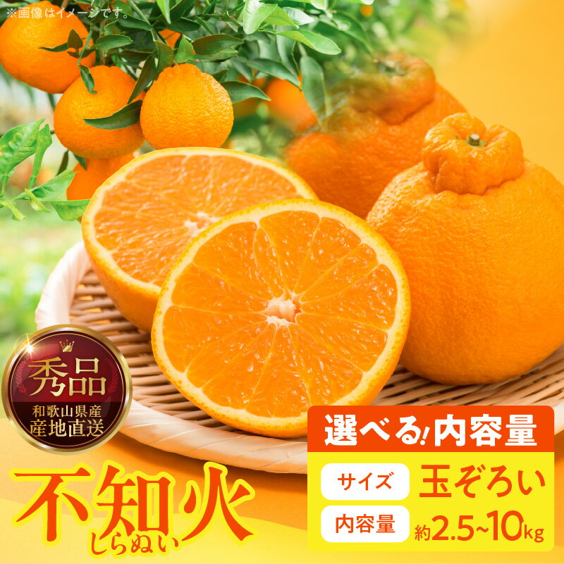 【ふるさと納税】不知火 秀品 玉ぞろい 選べる 内容量 箱込 2.5kg ～ 10kg 清見オレンジ ポンカン 交配種 デコポン 剥きやすい 食べやすい 贈答 贈り物 ギフト ぷちぷち 食感 果汁 みずみずしい 甘酸っぱい ジューシー 和歌山県産 産地直送 和歌山県 湯浅町 送料無料