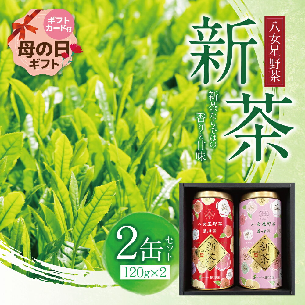 【ふるさと納税】\ 期間限定 新茶 / 八女星野茶 120g×2本 日本茶 煎茶 緑茶 茶葉 国産 福岡県 贈り物 お茶 福智町 福岡県 八女茶 母の日