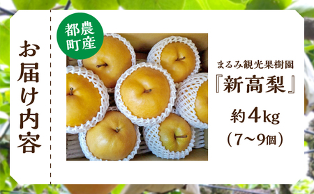 先行予約≪期間限定≫まるみ観光果樹園の『新高梨』(約4kg) なし 果物 フルーツ 天然 ミネラル栽培_T036-002