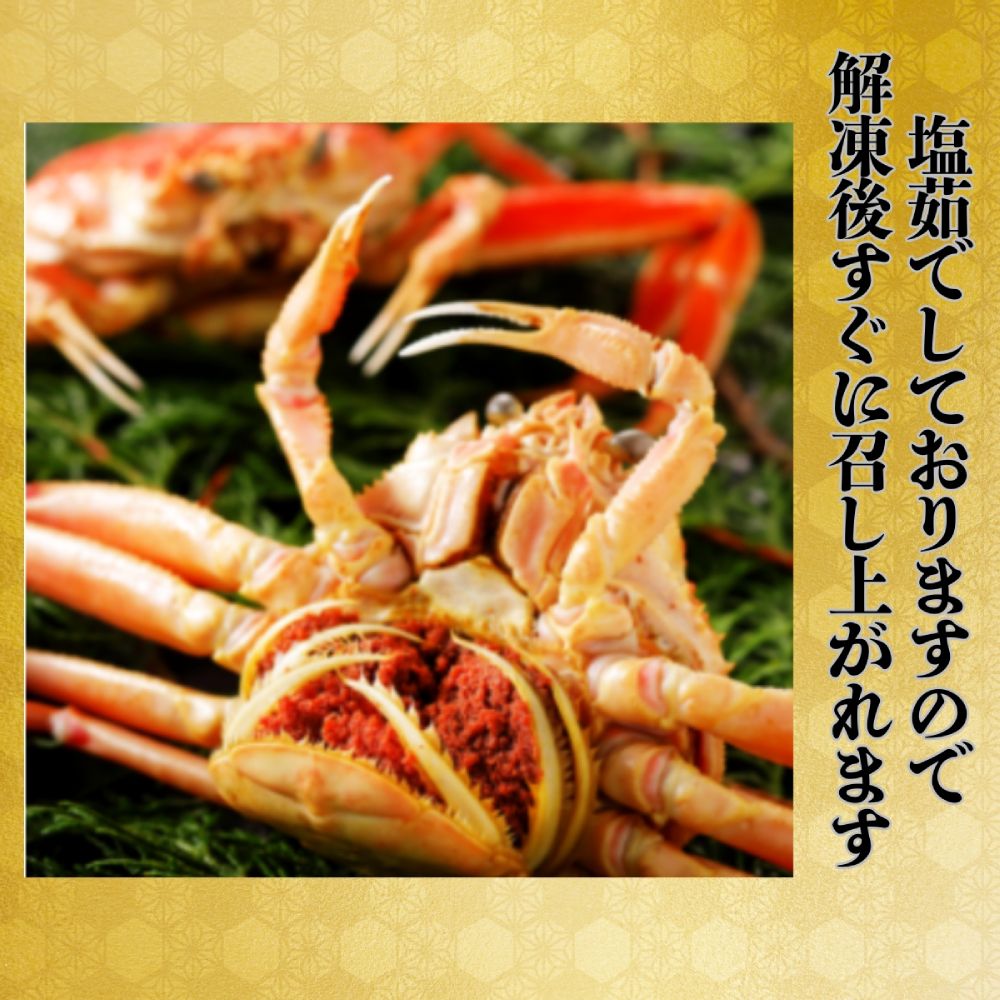 11-181 ボイルセコガニ1kg｜ セイコ蟹 ズワイガニメス 子持ち