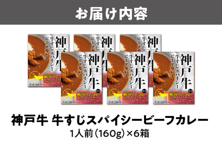 【 京阪百貨店厳選 】神戸牛すじスパイスカレー160ｇ×6食セット 牛すじカレー_OS048-0069