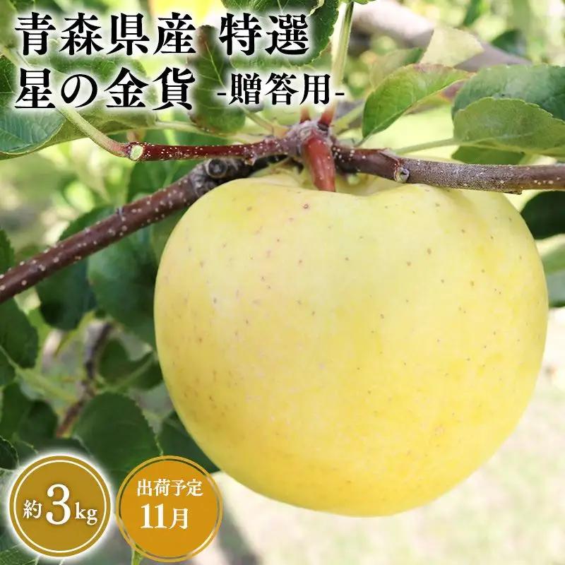 りんご 特選　星の金貨 ３kg りんご