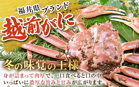 【先行予約】【2月発送限定】茹で越前がに 1杯 750g～900g（大サイズ以上）《新鮮！茹でたてを発送》／ 高級 福井 ブランド ズワイガニ 黄色タグ ボイル 冷蔵 蟹 カニ 期間限定 ※2026年