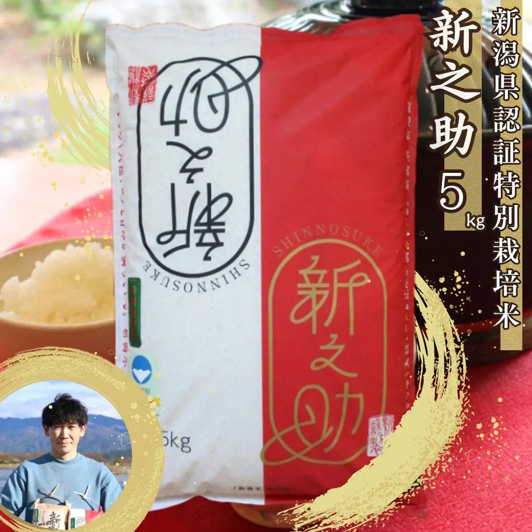 【令和8年産新米予約】【新潟県認証米】 5kg 特別栽培米 新之助 阿賀野市産 丸山農園 米 こめ コメ 白米 精米 新米 新米予約 令和8年産 10月中旬より順次発送予定 3F03016