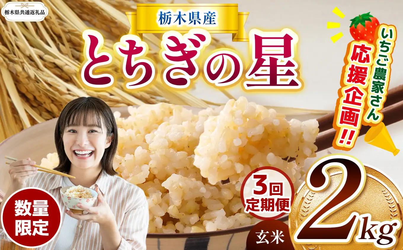 【定期３回】先行予約【令和8年度産】栃木県産とちぎの星 2kg | 【栃木県共通返礼品】 