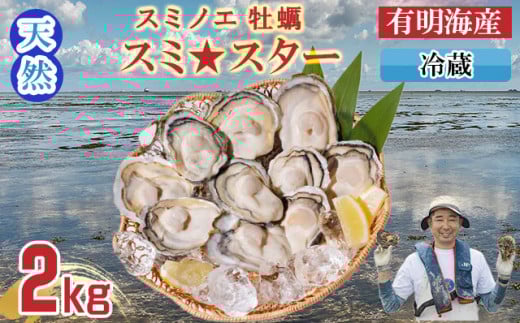 【4月配送】【先行予約】天然 有明海産「冷蔵スミノエ牡蠣」スミ☆スター2Kg 殻付き牡蠣 はしま海苔
