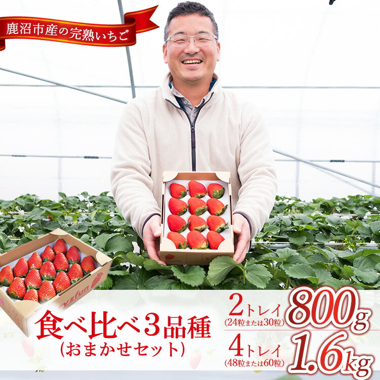 【ふるさと納税】【選べる容量】【先行予約/数量限定】【贅沢いちごセット】完熟いちご食べ比べ3品種 ｜ 栃木県 鹿沼市 産地直送 旬 いちご こだわり 高級品 贈答用 イチゴ 苺 果物 フルーツ 期間限定 　※2025年12月中旬～2026年2月中旬頃に順次発送予定