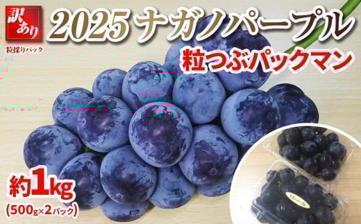 【先行予約】2025　ナガノパープル　粒つぶパックマン【訳ありパック】2パック　約1キロ　長野県産  【10月初旬頃～順次発送予定】国際特許有機肥料栽培