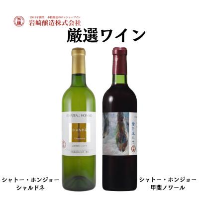 ふるさと納税 甲州市 ホンジョーワイン厳選赤白ワイン2本セット　C681