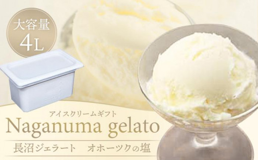 
                  長沼ジェラート（オホーツクの塩）4000ml 大容量４L アイスクリームギフト 【 アイス アイスクリーム ジェラート 人気 北海道 ランキング アイスキャンディー アイスクリームセット セット スイーツ お菓子 洋菓子 デザート デザートカップ デザート詰め合わせ デザートアイス 詰合せ 詰め合わせ 】
                