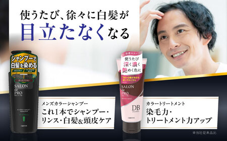 ダリヤ サロンドプロ メンズカラーシャンプー・カラートリートメント 各3個セット【ダークブラウン】 / 稲沢市 / 日興商事株式会社 [BMBK009-01]
