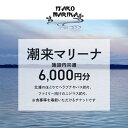 【ふるさと納税】 潮来マリーナ 施設内共通利用券 6,000円分 (1,000円×6枚) へらブナ釣り ブラックバス釣り ニジマス釣り 渚食堂 バスボート駐艇場利用可能 釣り堀体験 レジャー チケット 茨城県 潮来市 (A49-002)