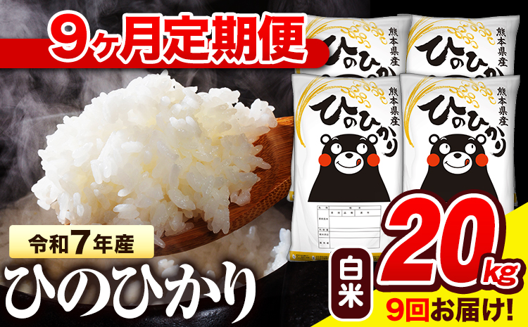 令和7年産 白米 【9ヶ月定期便】 ひのひかり 20kg《お申込み翌月から出荷》 熊本県産 白米 精米 氷川町 ひの 送料無料 ヒノヒカリ コメ 便利 ブランド米 お米 おこめ 熊本