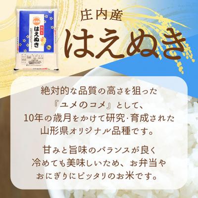 ふるさと納税 庄内町 【6か月定期便】庄内米 はえぬき無洗米 5kg【8月中旬発送】 |  | 01