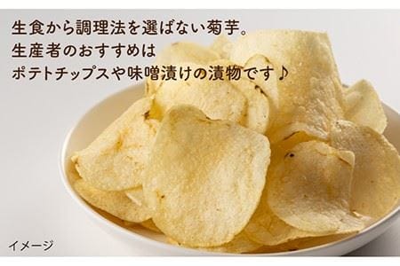 【先行予約】糸島産 菊芋 5kg 自然栽培 【2024年11月以降順次発送】 糸島市 / 大石ファーム [ATE008] 菊芋 きくいも キクイモ イヌリン 5kg 生 土付き 健康 美容 芋菊 芋き