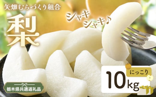 N05 梨 なし にっこり梨 10kgフルーツ 先行予約 矢畑むらづくり組合《9月下旬-10月中旬頃出荷》 栃木県【栃木県共通返礼品　栃木県産】【配送不可地域あり】(離島)