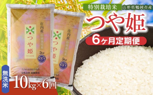 【令和8年産 新米】【定期便6ヵ月】斎藤農場の特別栽培米 つや姫 無洗米 10kg(5kg×2袋)×6ヶ月 山形県鶴岡市 K-881 | 米 こめ コメ つやひめ ブランド米 庄内米 ごはん ご飯 美味しい 国産 おにぎり 農家直送 おすすめ 人気 お取り寄せ 返礼品