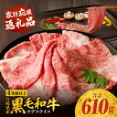 【ふるさと納税】 《発送時期が選べる》 宮崎県産 黒毛和牛 肩 ウデ スライス 610g 牛肉 肩ウデ 肩ウデ肉 ウデ肉 精肉 赤身 赤身肉 和牛 国産牛 ヘルシー 料理 アレンジ すき焼き 焼肉 国産 スライス肉 ウデ肉 肉 国産牛肉 チャック 袋 使いやすい 宮崎県 宮崎市 送料無料