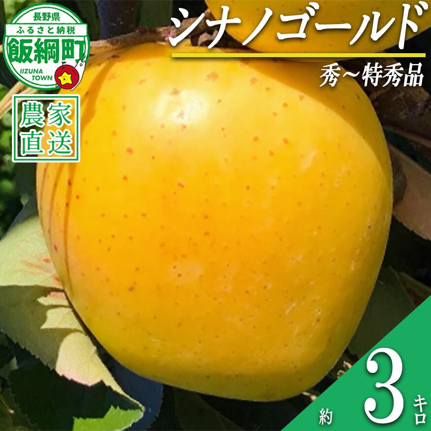 【ふるさと納税】 りんご シナノゴールド 3kg 秀〜特秀 関果樹園もりんご 沖縄県への配送不可 〔 果物 フルーツ 林檎 長野 予約 農家直送 贈答用 3キロ 13000円 〕【令和8年度収穫分】 発送：2026年11月上旬〜