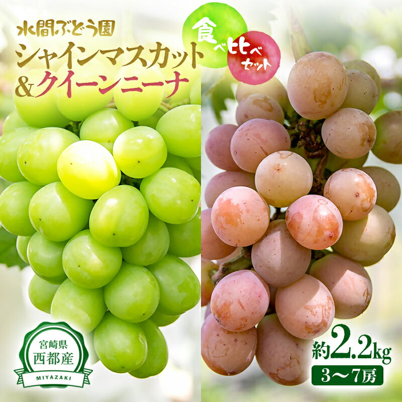 【ふるさと納税】『シャインマスカット』『クイーンニーナ』詰合せ（合計2.2kg）味比べセット 宮崎県西都市産 水間ぶどう 先行予約