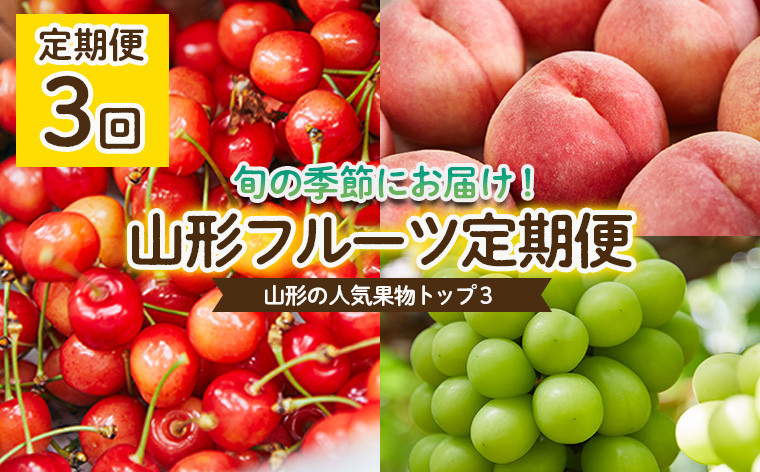 
            【定期便3回】やまもりやまがたの定期便～山形の人気果物トップ3～ 【令和7年産先行予約】FU22-001 くだもの 果物 フルーツ 山形 山形県 山形市 2025年産
          