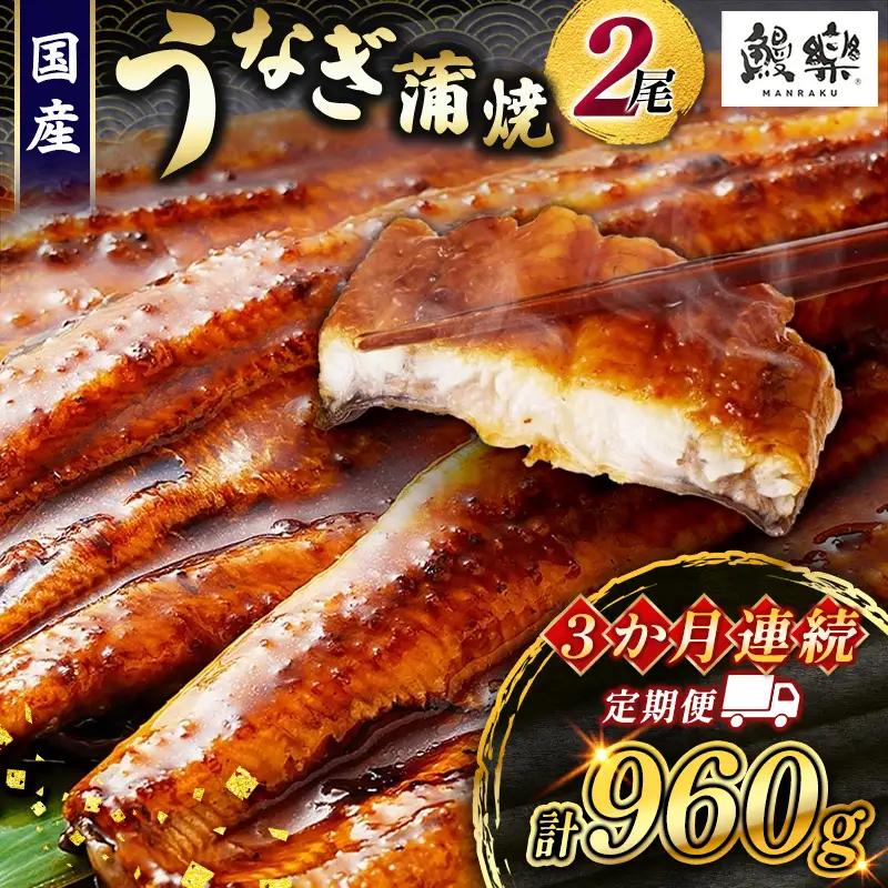 うなぎ 蒲焼 定期便 ＜計3回＞ 鰻 2尾 （計960g） 国産 ウナギ 3か月 連続 人気 ギフト 贈答品 おすすめ 小分け 宮崎県 高鍋町 名物【MR-g-010】