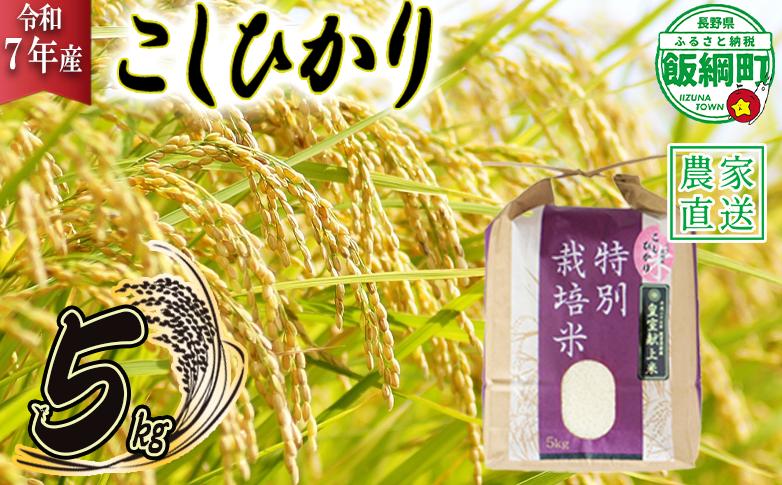 米 皇室献上実績 こしひかり 5kg ( 令和7年産 ) 特別栽培米 仲俣農園 2025年10月上旬頃から順次発送予定 コシヒカリ 白米 精米 お米 信州 23000円 予約 農家直送 長野県 飯綱町
