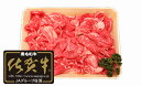 【ふるさと納税】【佐賀牛】切り落とし肉700g N25-3