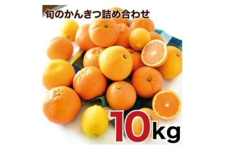 特選 旬のかんきつ詰め合わせ 10kg(B156-4）