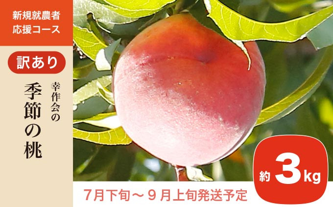 数ある桃の品種の中から旬の一番おいしい桃をお届けいたします。生産者から直送のため本当に美味しい桃をお楽しみ頂けます。