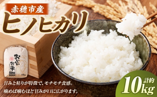 【令和7年産】 赤穂市産 ヒノヒカリ 約10kg（約10kg×1袋） 【2026年9月下旬まで順次発送予定】 米 コメ お米 ライス ご飯 ごはん 飯 食品 精米 兵庫県 赤穂市